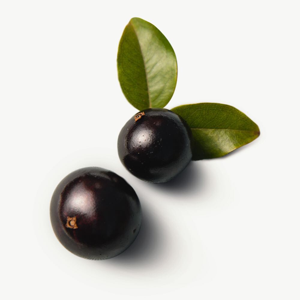 #wix, #website, #sitegratuito, #templatedesite, #wix.com