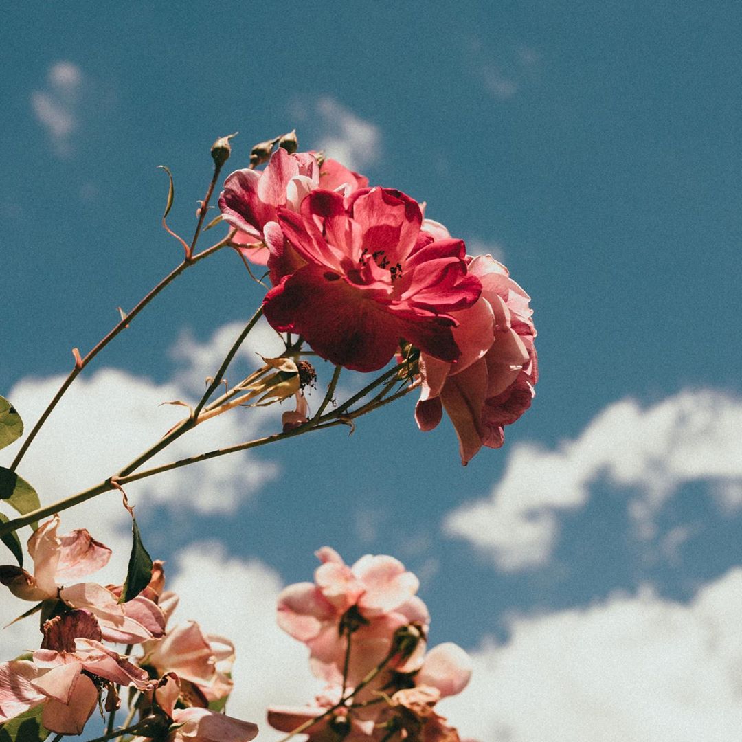 #wix, #website, #freewebsite, #websitetemplate, #wix.com