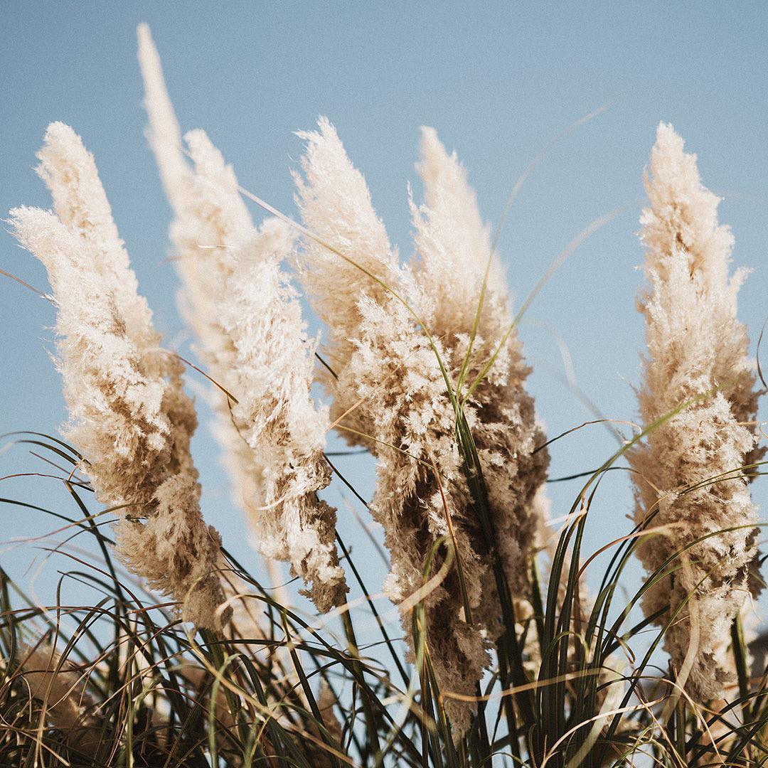 #wix, #website, #freewebsite, #websitetemplate, #wix.com