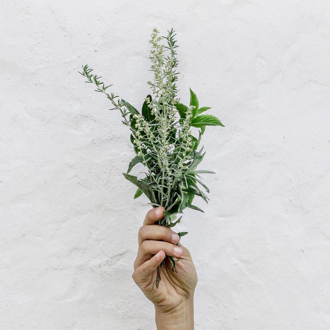 #wix, #website, #freewebsite, #websitetemplate, #wix.com