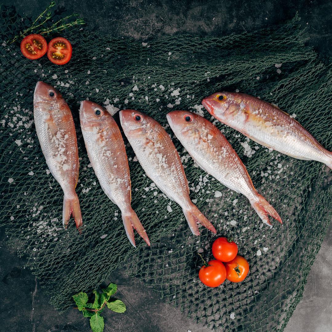 #wix, #website, #freewebsite, #websitetemplate, #wix.com